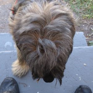 Meet your Posher, Ladislao